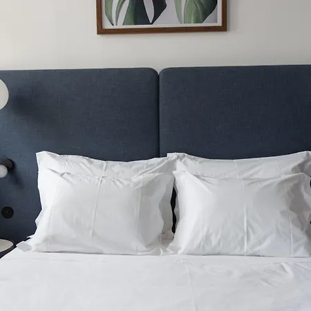 O Paco - Exclusive Томар