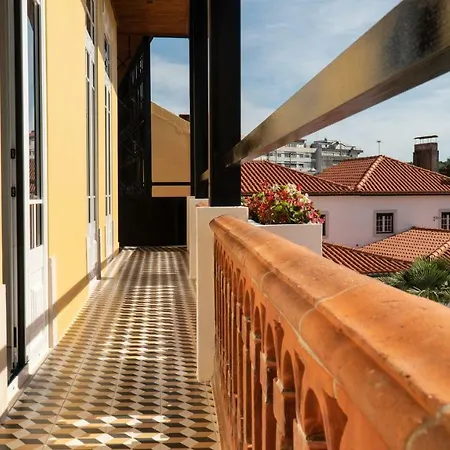 O Paco - Exclusive Томар