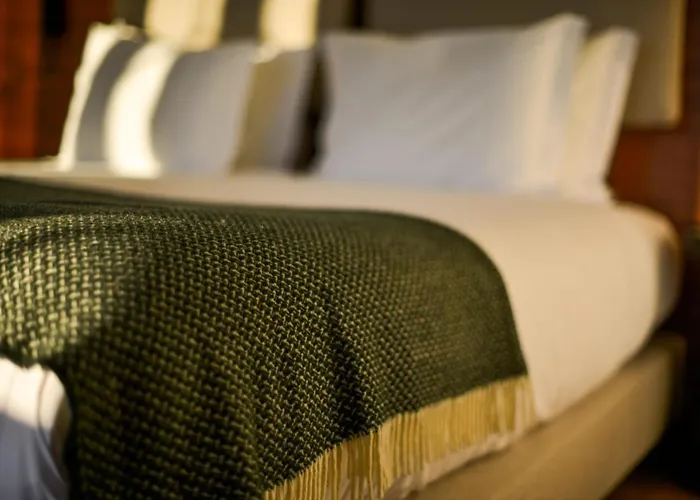 O Paço - Vintage Casa de hóspedes Tomar