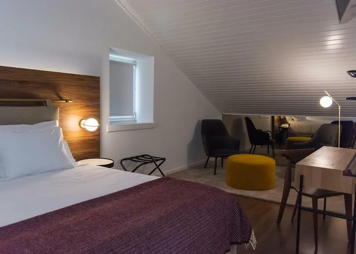 O Paco - Exclusive טומאר